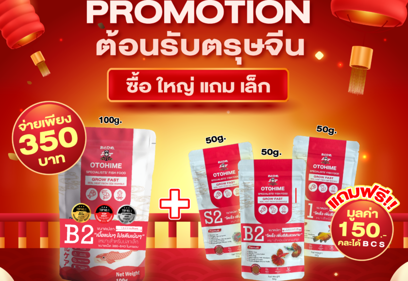 อาหารปลาโอโตฮิเมะ โปรโมชั่นตรุษจีน