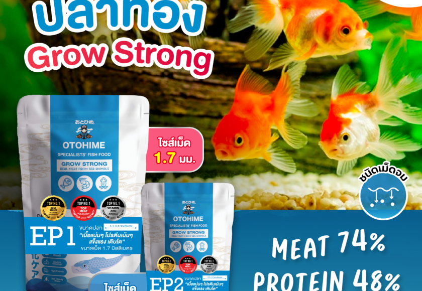 อาหารปลาทองคุณภาพพรีเมียม