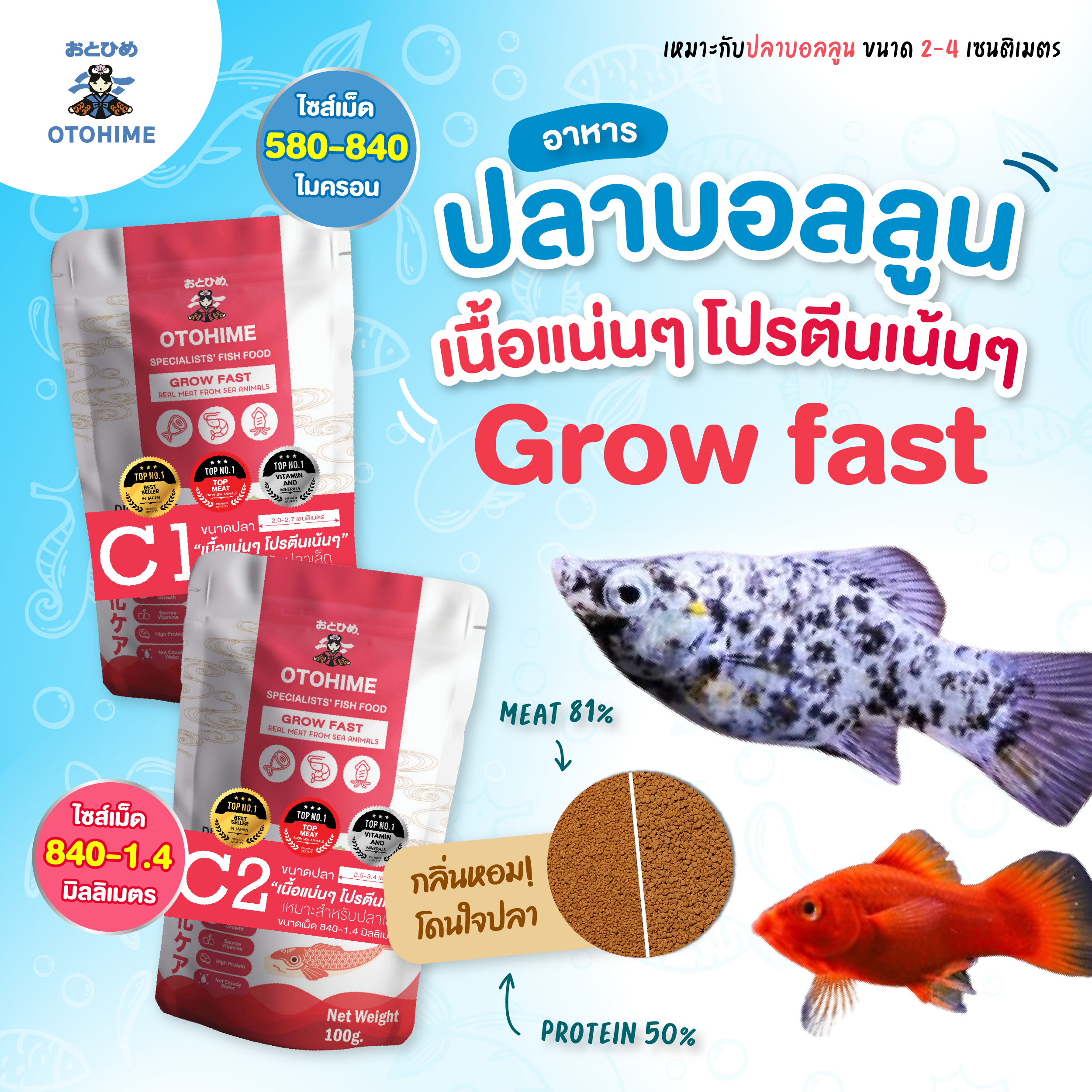 อาหารปลาบอลลูน