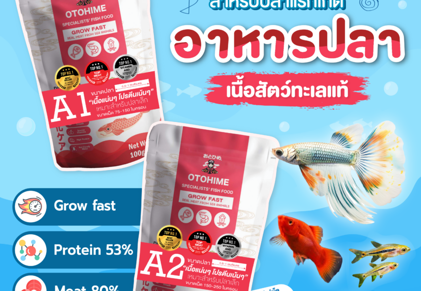 อาหารปลาแรกเกิด โอโตฮิเมะ